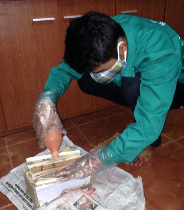 Làm sao để diệt hết mối trong nhà